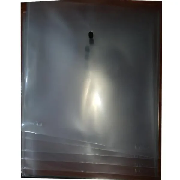 Imported Clear Transparent Bag (6 Pcs)