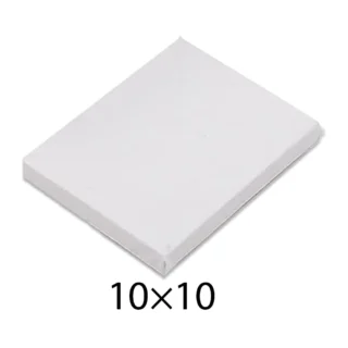 Canvas (10 x 10 Inches)
