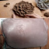 Modeling Polymer Mud Clay for Sculptures or Portrait Art #SS-BClay-1Pkt of-0008 - Image 2